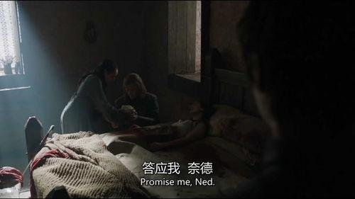 别当网红 吃瓜的雪诺,远离网红喧嚣，回归真实生活